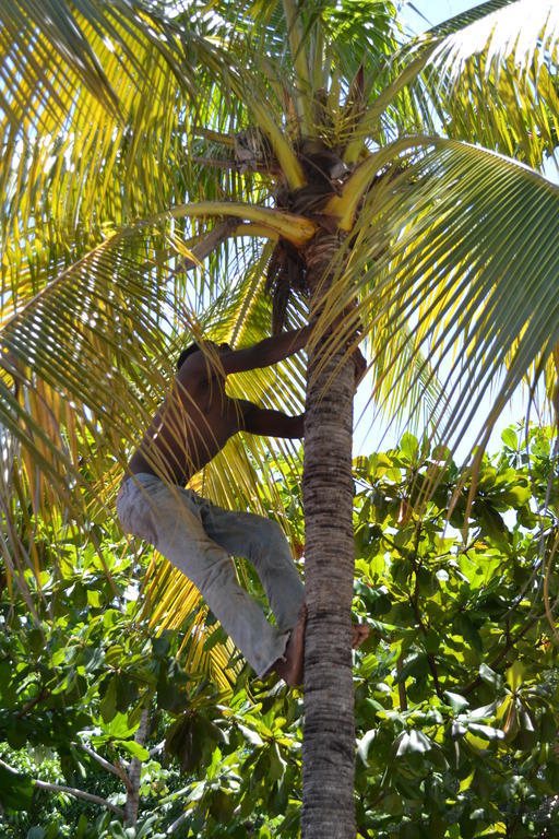 Pacot Breeze Hotel Musseau Exterior foto