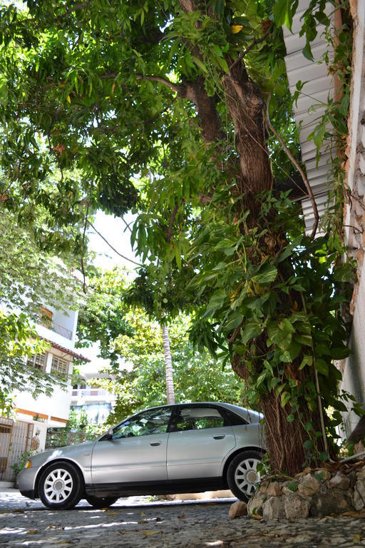 Pacot Breeze Hotel Musseau Exterior foto