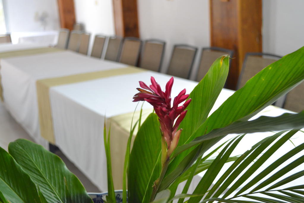 Pacot Breeze Hotel Musseau Exterior foto